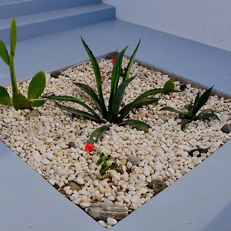 شقة فندقية Milora Sunset بولونيا