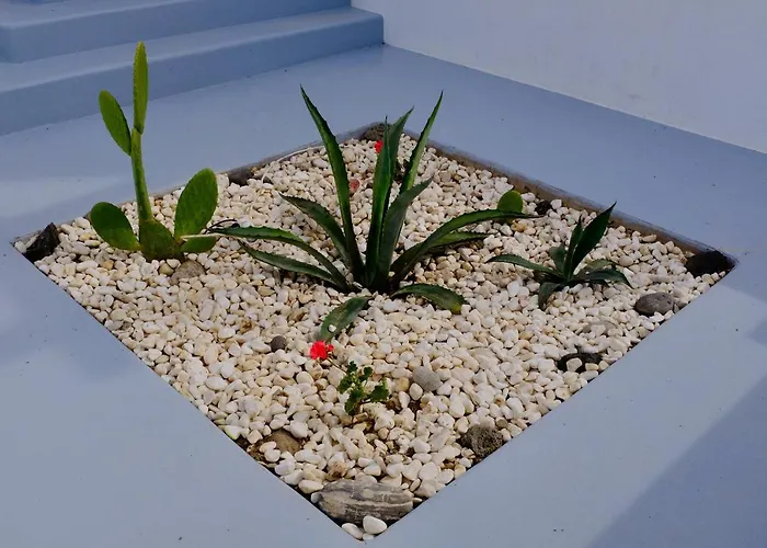 アパートホテル Milora Sunset ポロニア