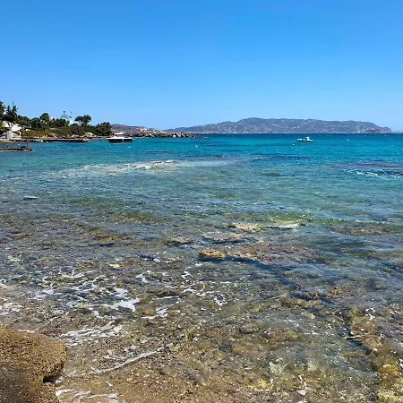 Milora Sunset Pollonia