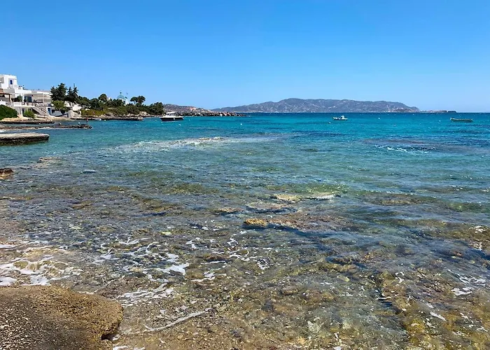 Milora Sunset Pollonia